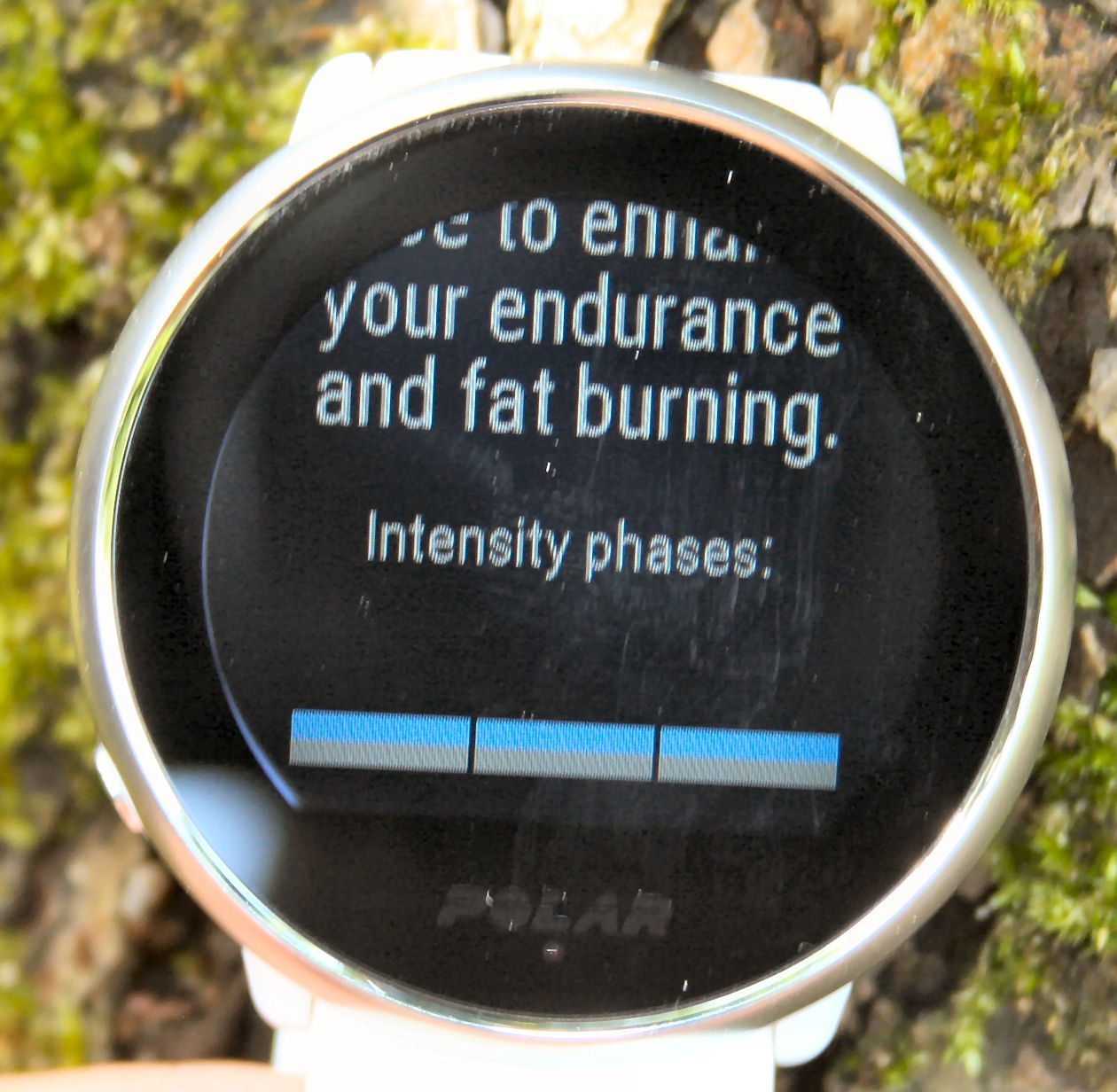 Polar Ignite Review Specifications