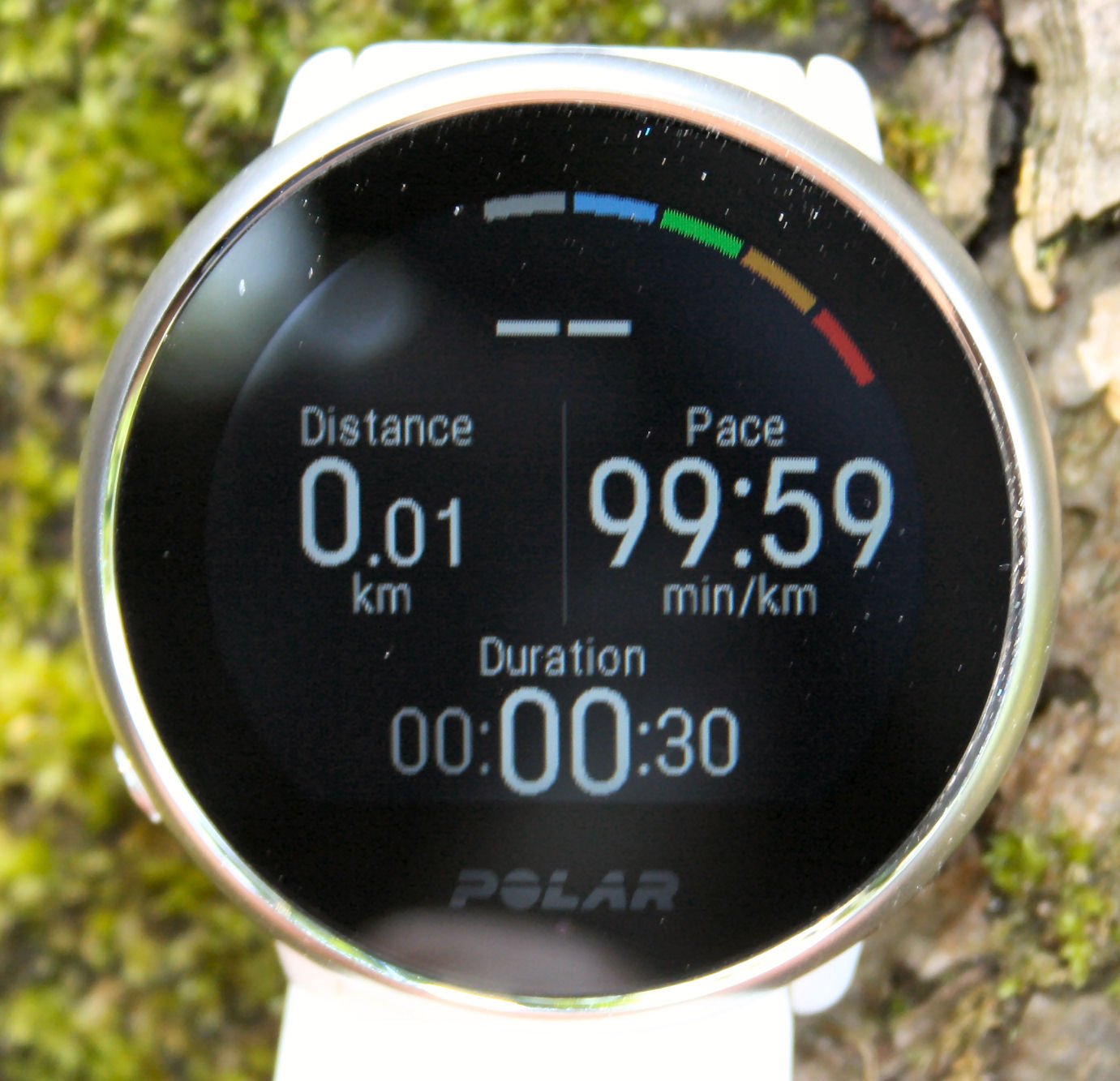 Polar Ignite Review Specifications