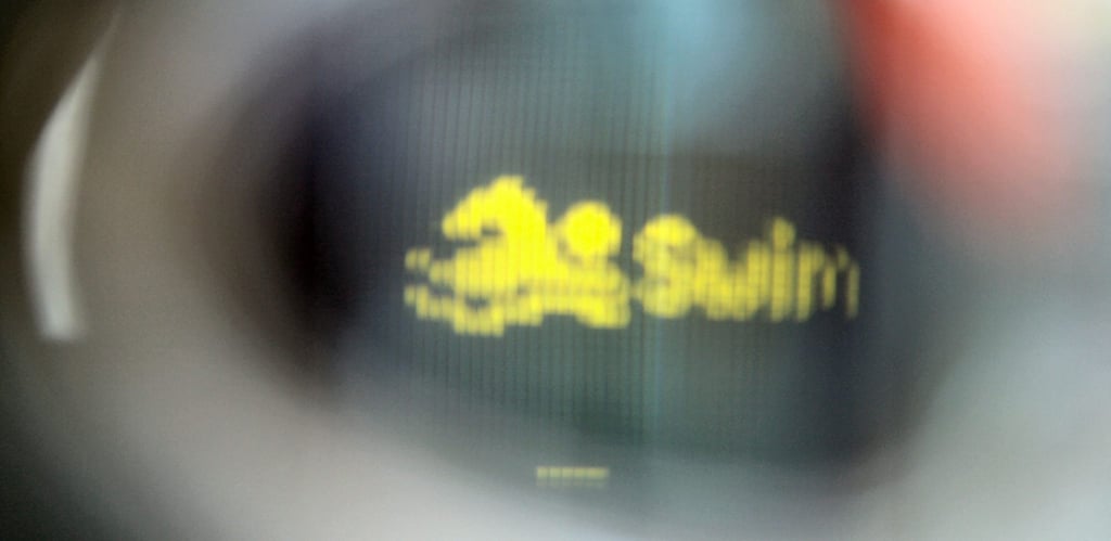 FORM Swim Goggles