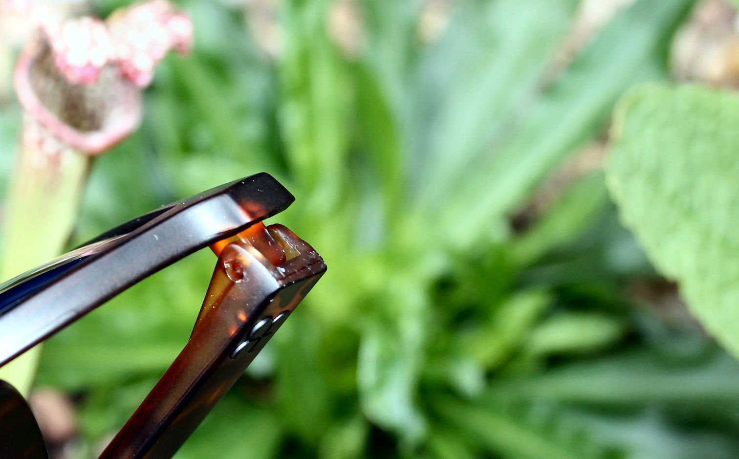 SunGod Classics Review - Custom CLASSICS3