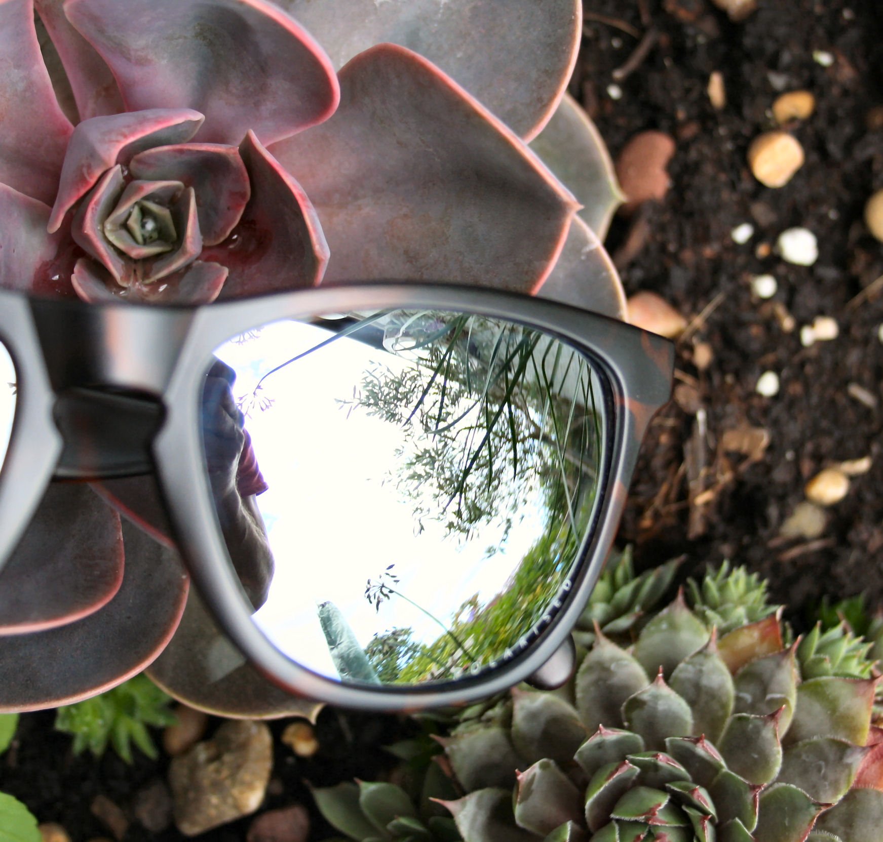 SunGod Classics Review - Custom CLASSICS3