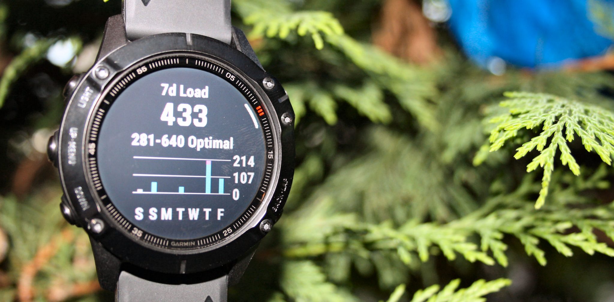 Garmin fenix 6 specifications review