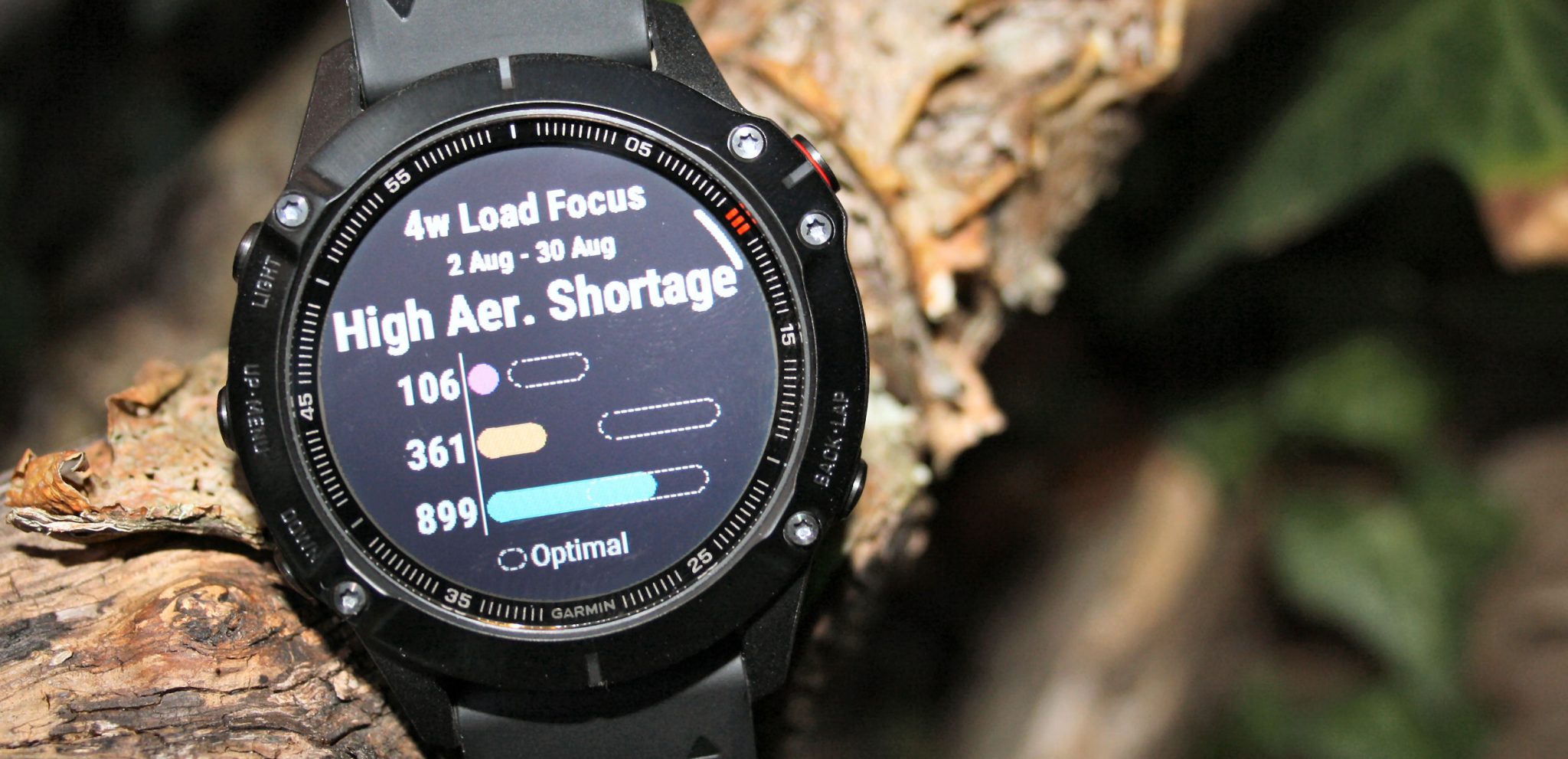 Garmin fenix 6 specifications review