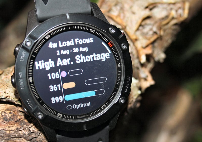 Garmin fenix 6 specifications review
