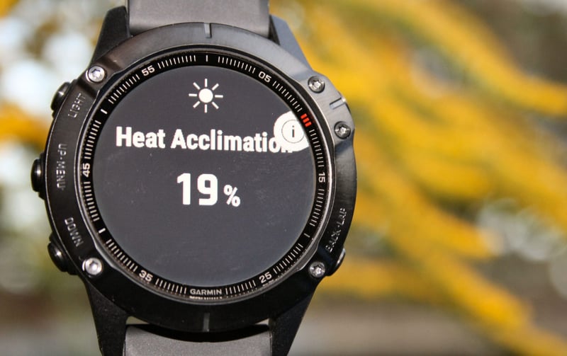 Garmin fenix 6 specifications review acclimation