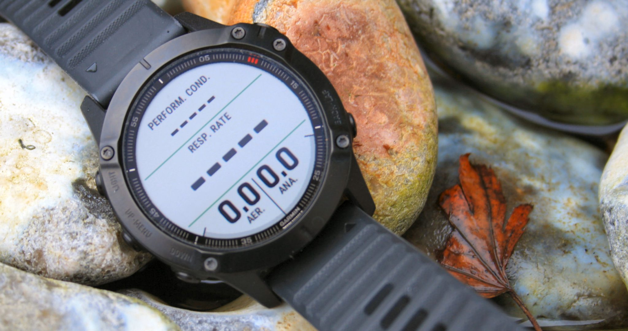 Garmin fenix 6 review specifications