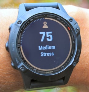 Garmin fenix 6 review specifications