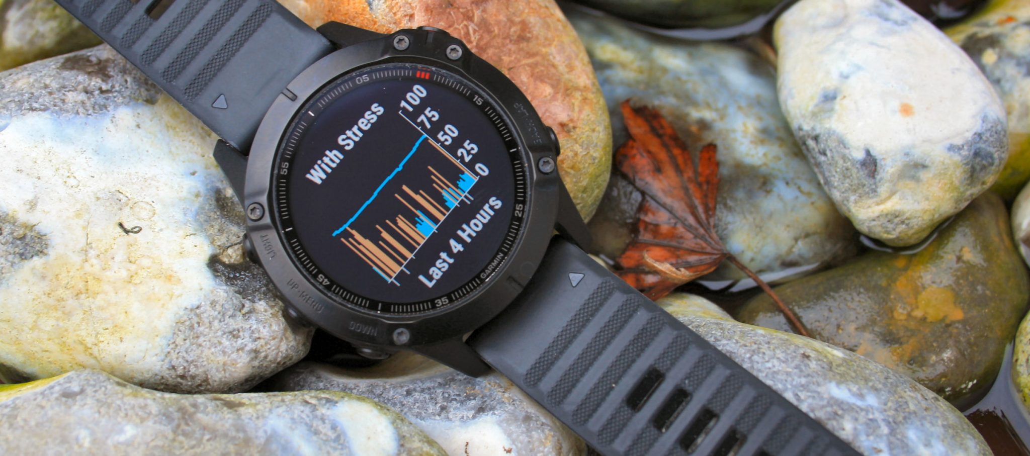 Garmin fenix 6 review specifications