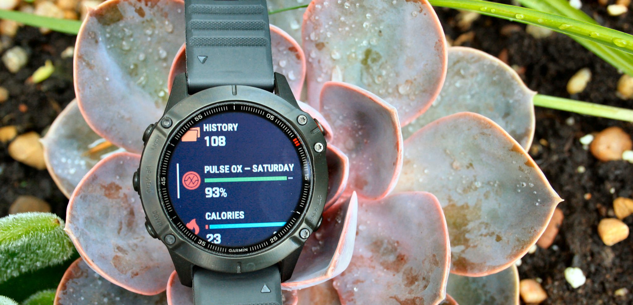 Garmin fenix 6 review specifications