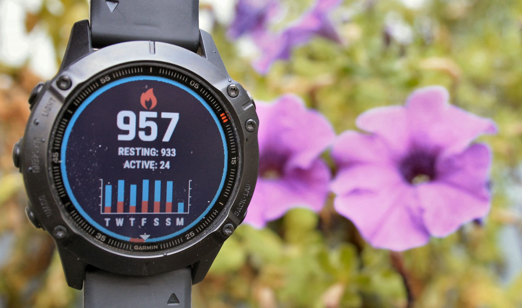 Garmin fenix 6 review specifications