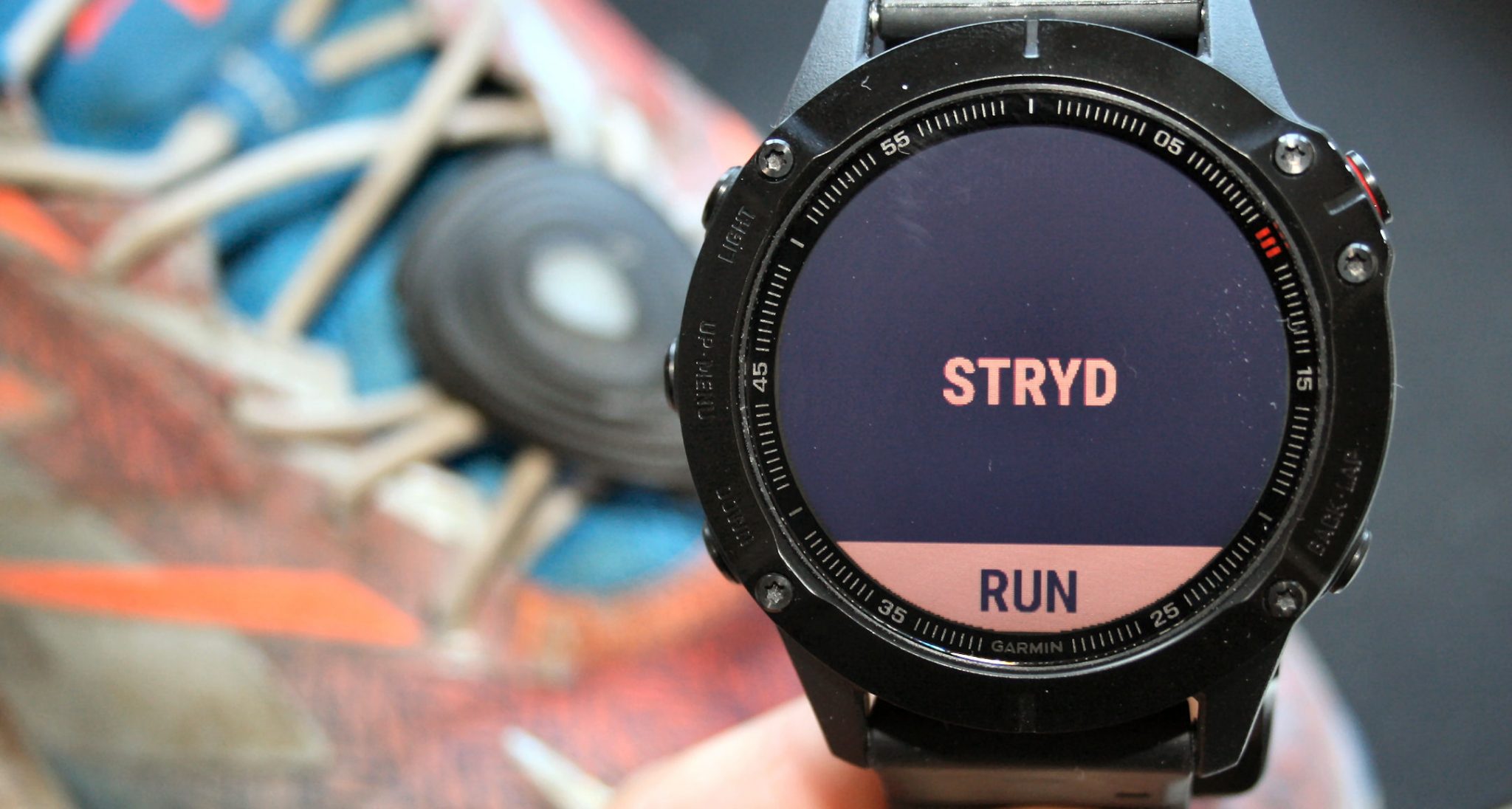 Garmin fenix 6 review specifications