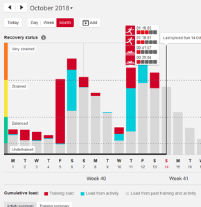 Polar Vantage Review - Polar Flow Dashboard