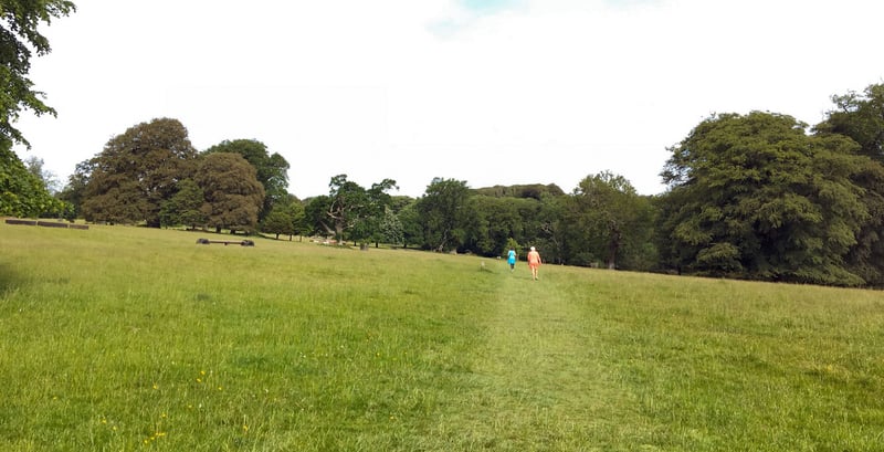 Lanhydrock parkrun