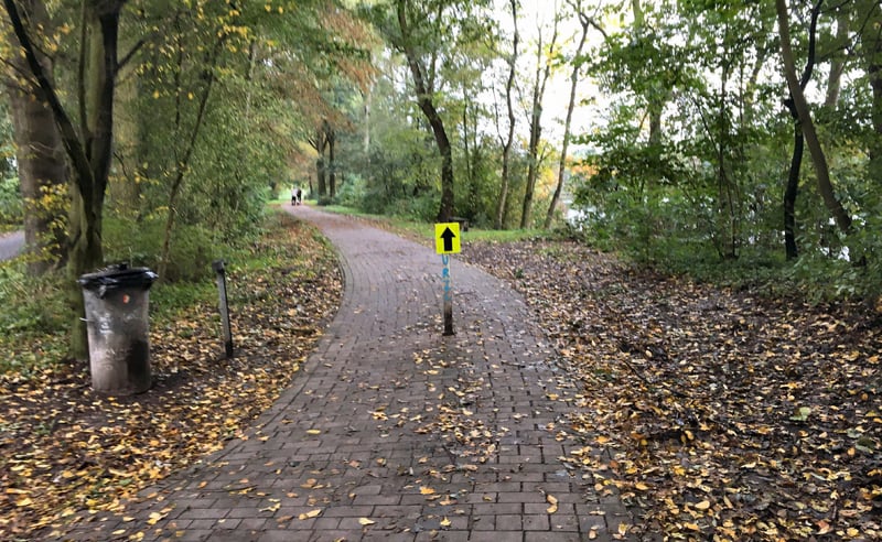 Unisee parkrun Germany
