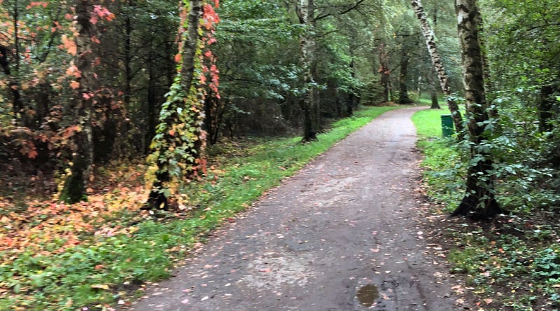Unisee parkrun Germany