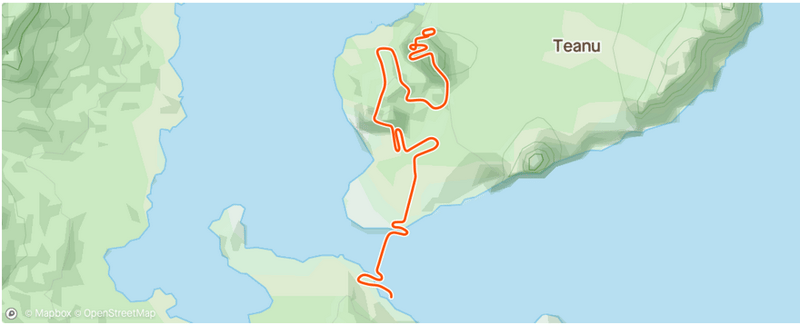 Garmin Virtual Run - First Run - On Zwift Through To Strava