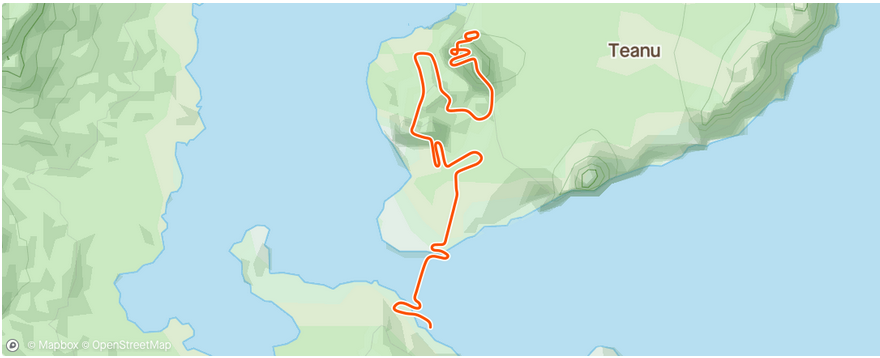 Garmin Virtual Run - First Run - On Zwift Through To Strava