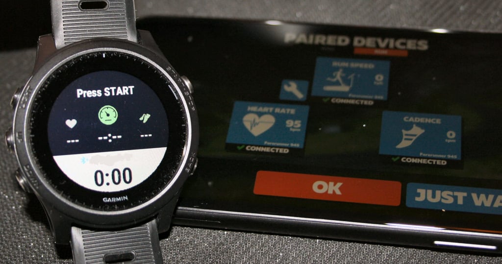 Garmin Virtual Run Zwift Strava