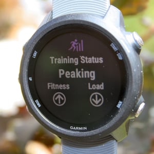 Garmin 245 Review Forerunner 245M Music