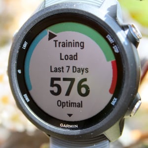 Garmin 245 Review Forerunner 245M Music