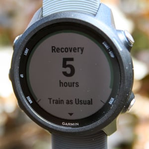 Garmin 245 Review Forerunner 245M Music