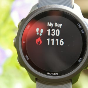 Garmin 245 Review Forerunner 245M Music