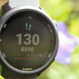 Garmin 245 Review Forerunner 245M Music