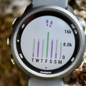 Garmin 245 Review Forerunner 245M Music