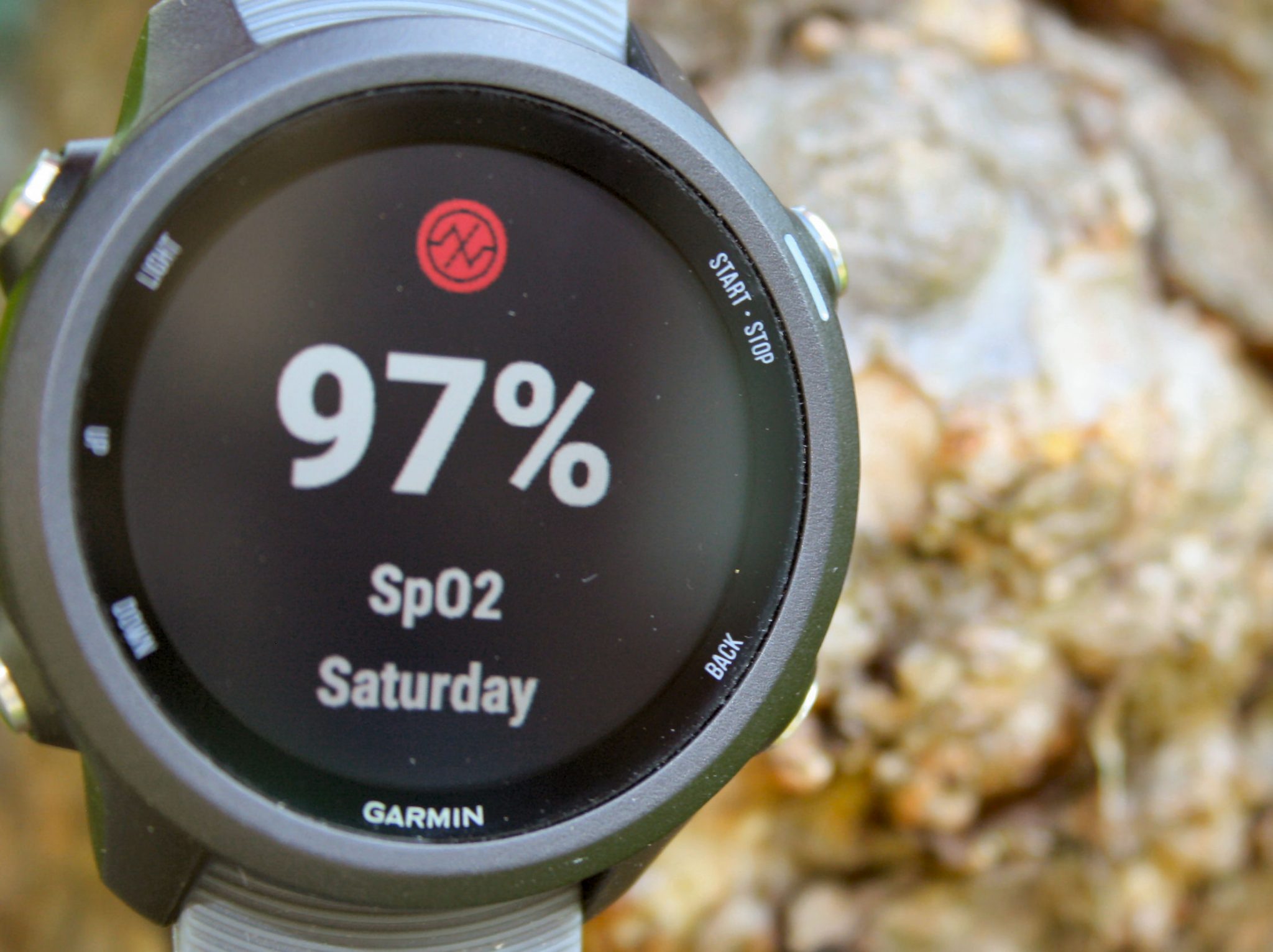 Garmin 245 Review Forerunner 245M Music