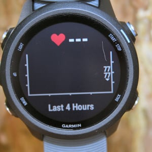 Garmin 245 Review Forerunner 245M Music