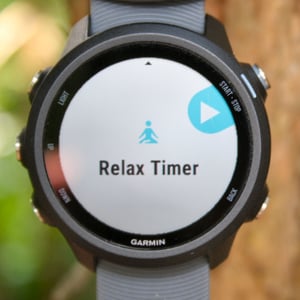 Garmin 245 Review Forerunner 245M Music