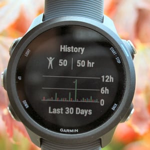 Garmin 245 Review Forerunner 245M Music