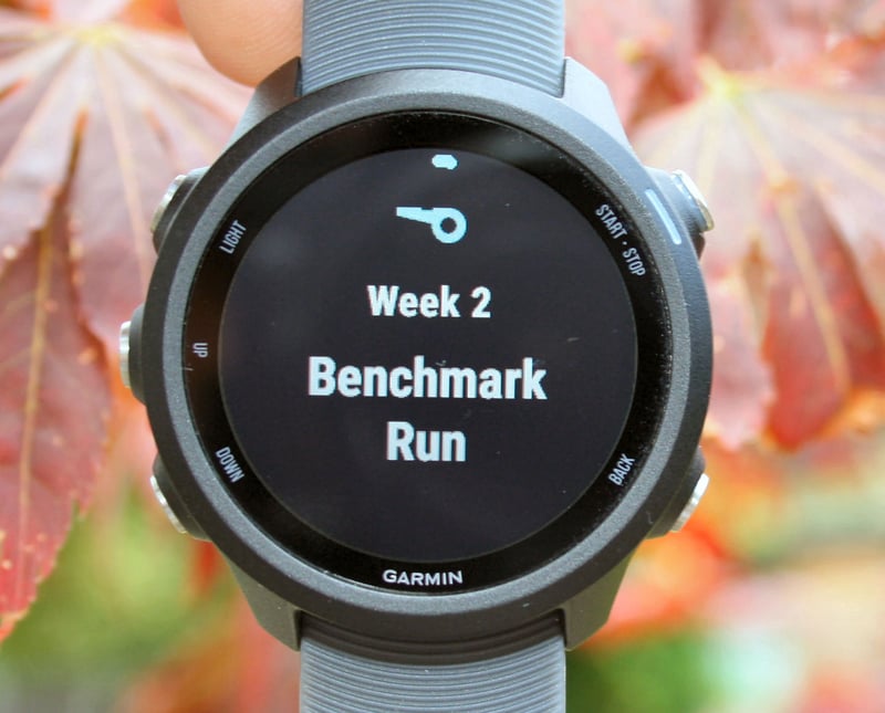 Garmin 245 Review Forerunner 245M Music