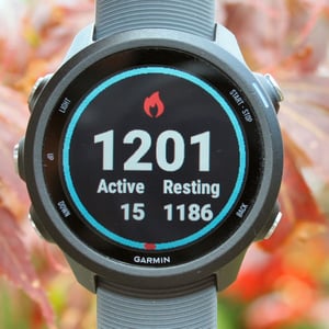 Garmin 245 Review Forerunner 245M Music