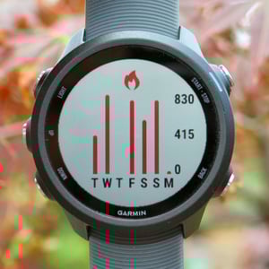 Garmin 245 Review Forerunner 245M Music