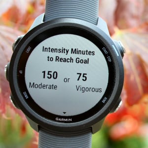 Garmin 245 Review Forerunner 245M Music