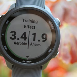 Garmin 245 Review Forerunner 245M Music