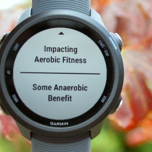 Garmin 245 Review Forerunner 245M Music