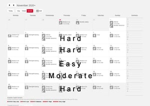 Big Data States The Obvious For Run-Training Insights. But...