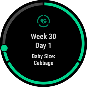 Garmin Aces Pregnancy Tracking With Suite Of Tools
