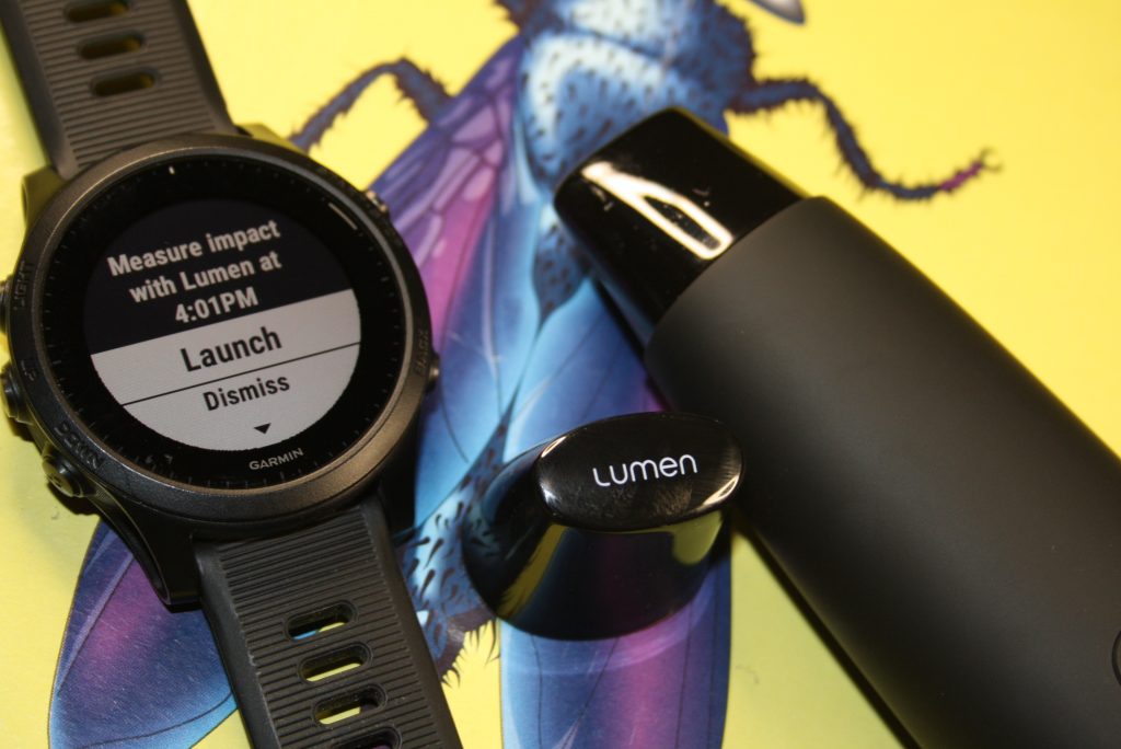 Lumen Review Metabolism