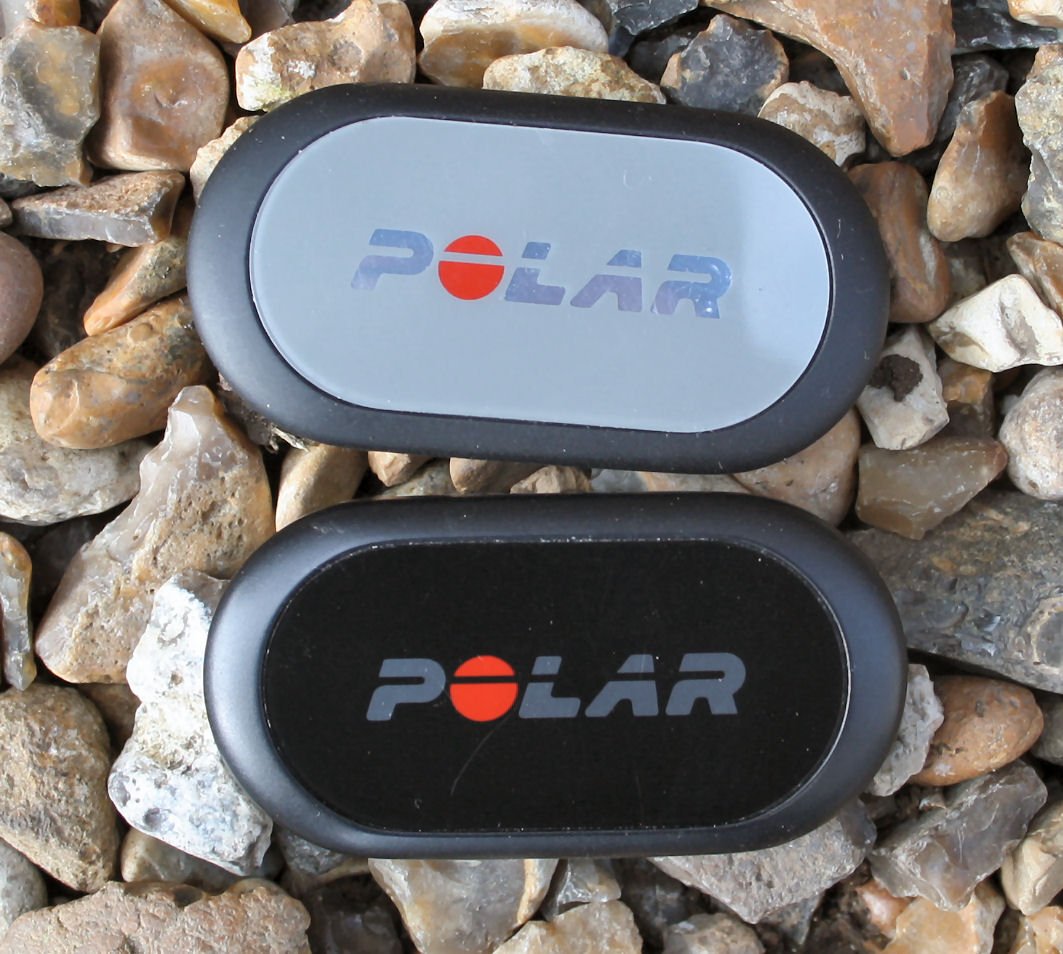Polar H10