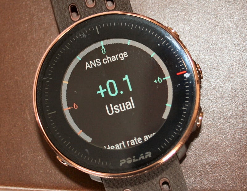 Detailed review of the Polar Vantage M2
