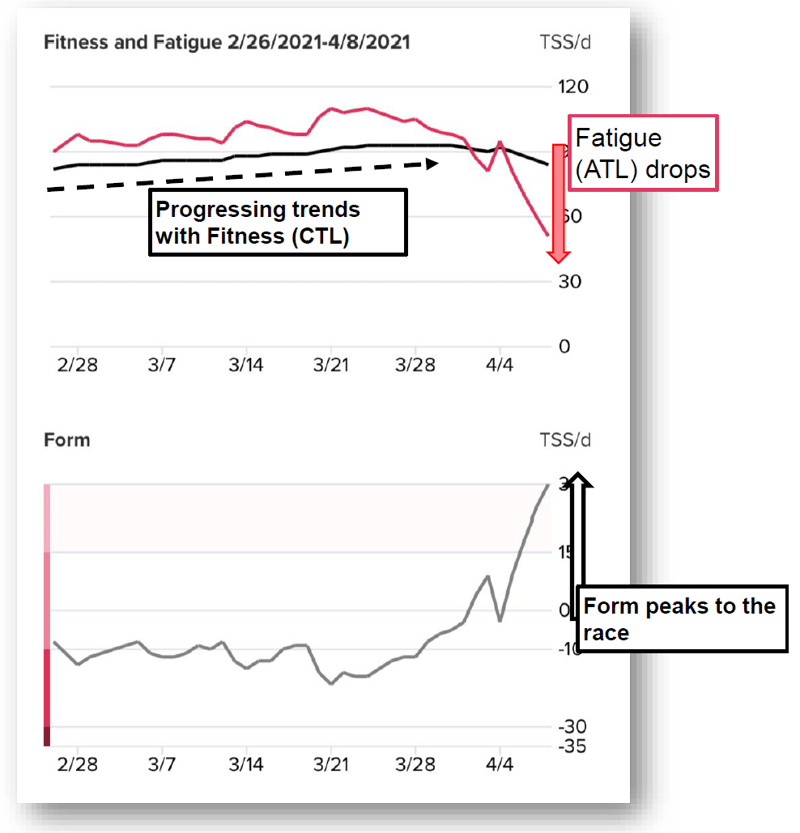 Suunto Adds Pro Load & Recovery Metrics To App