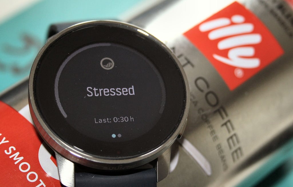 Suunto 9 Peak Body battery