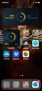 whoop widgets on ios