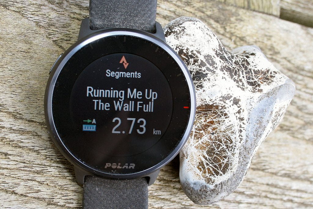 Polar Pacer Pro
