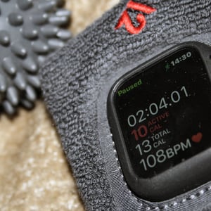 12 Twelve South Action Band