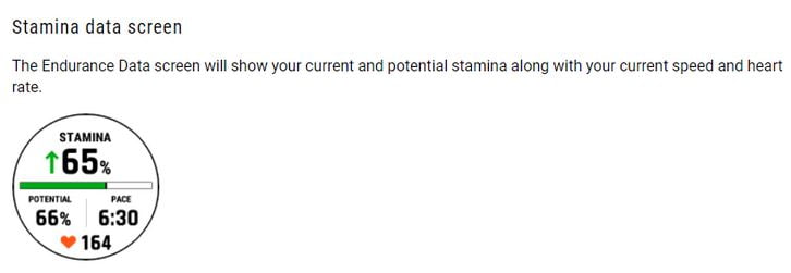 Garmin Fenix 7 - What To Expect - Updated Daily