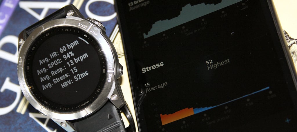 Garmin Fenix 7 daily snapshot review